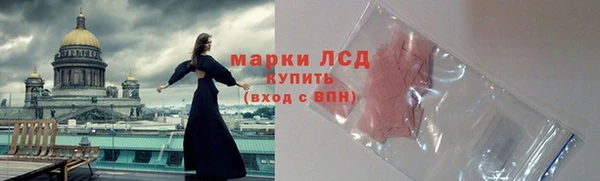 стафф Аркадак