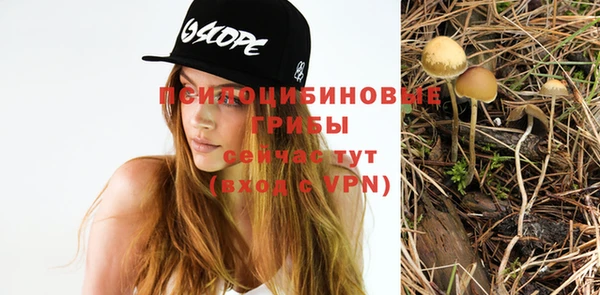 твердый Арсеньев